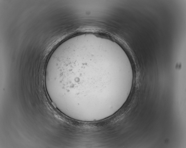 X0000116110529200912141023