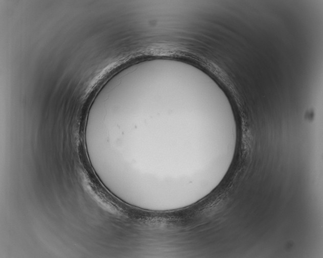 X0000116110530200912141023