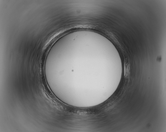 X0000116110531200912141023