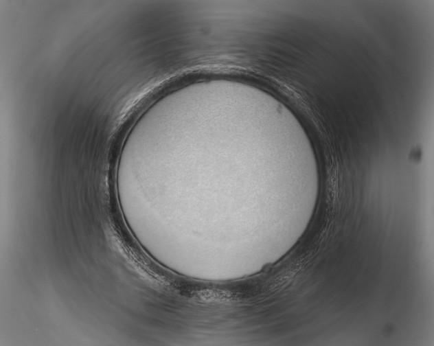 X0000116110535200912141023