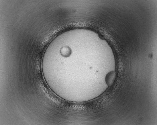 X0000116110537200912141023