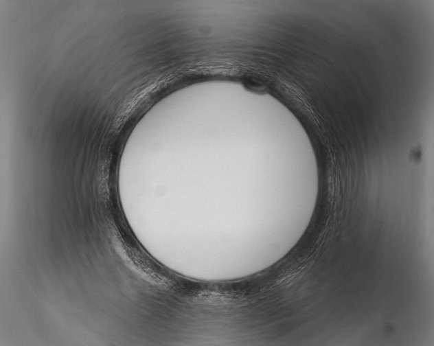 X0000116110538200912141023