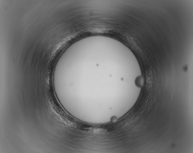 X0000116110539200912141023