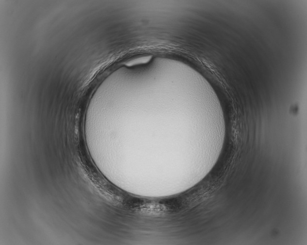 X0000116110543200912141023