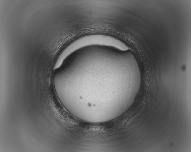 X0000116110546200912141023