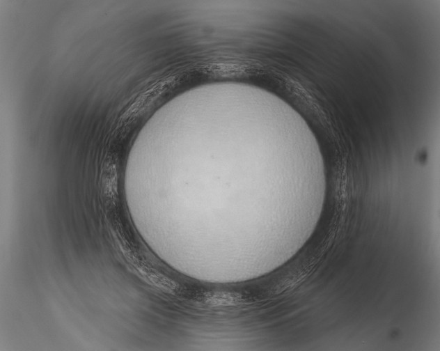 X0000116110549200912141023