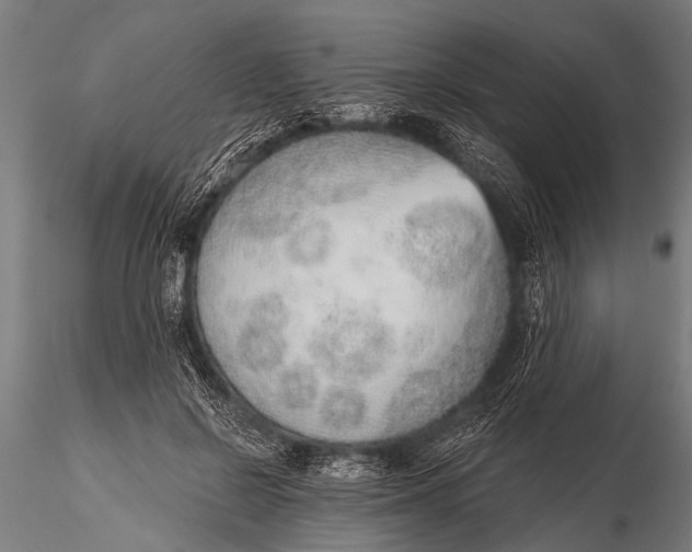 X0000116110550200912141023