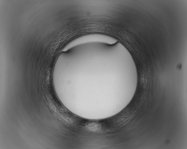 X0000116110551200912141023