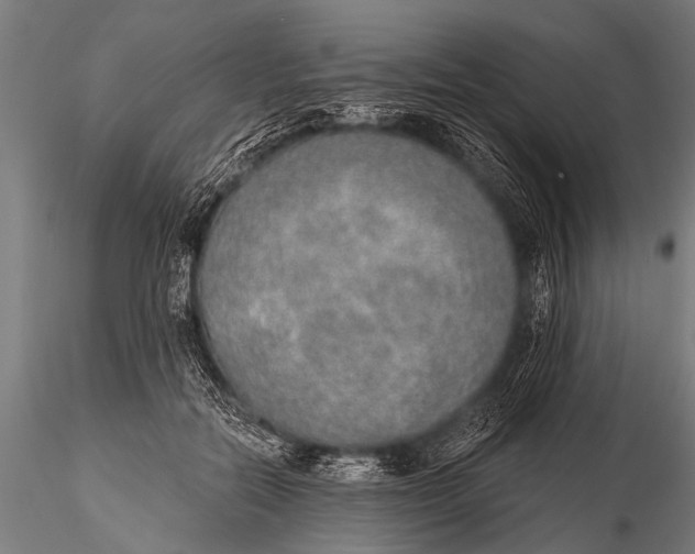 X0000116110554200912141023