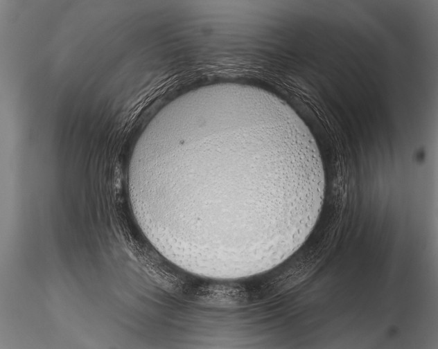 X0000116110555200912141023