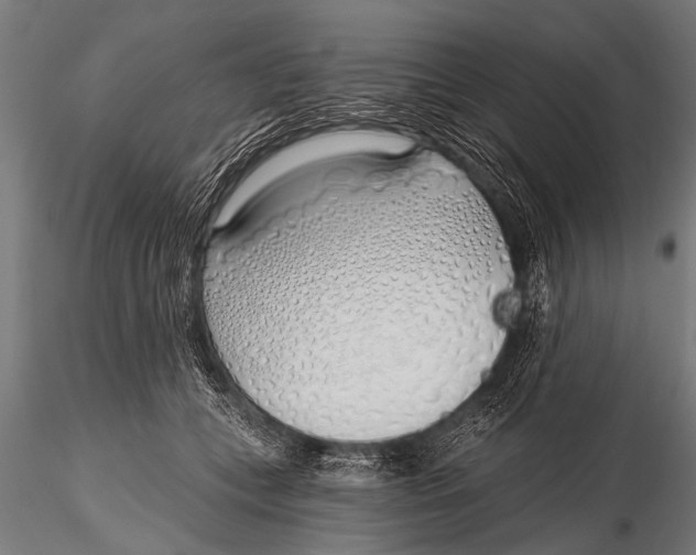 X0000116110559200912141023