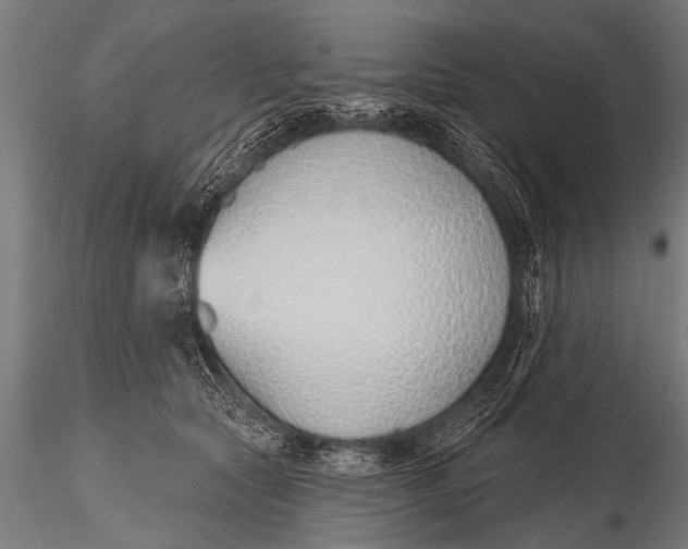 X0000116110561200912141023