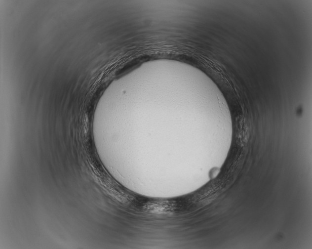 X0000116110563200912141023