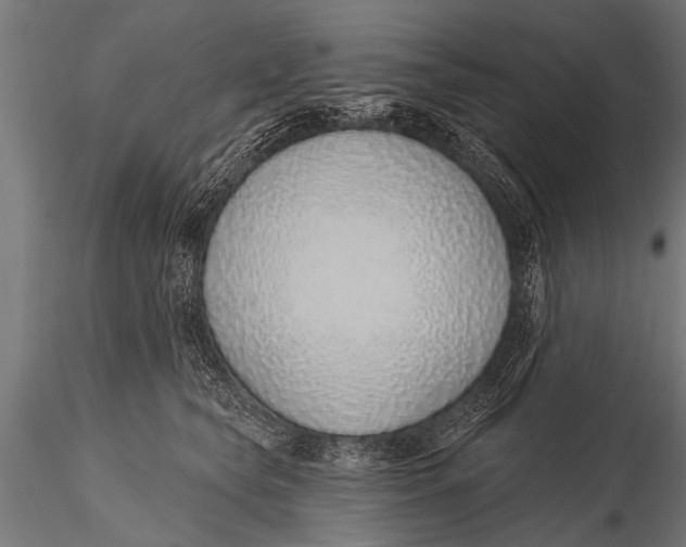 X0000116110565200912141023