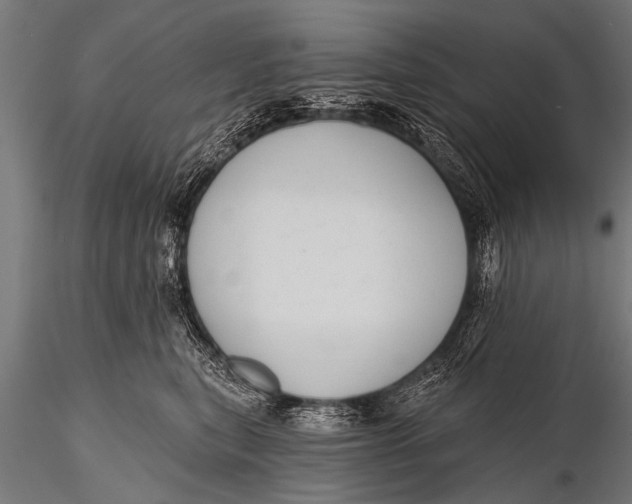 X0000116110567200912141023