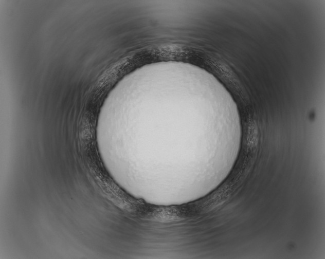 X0000116110569200912141023