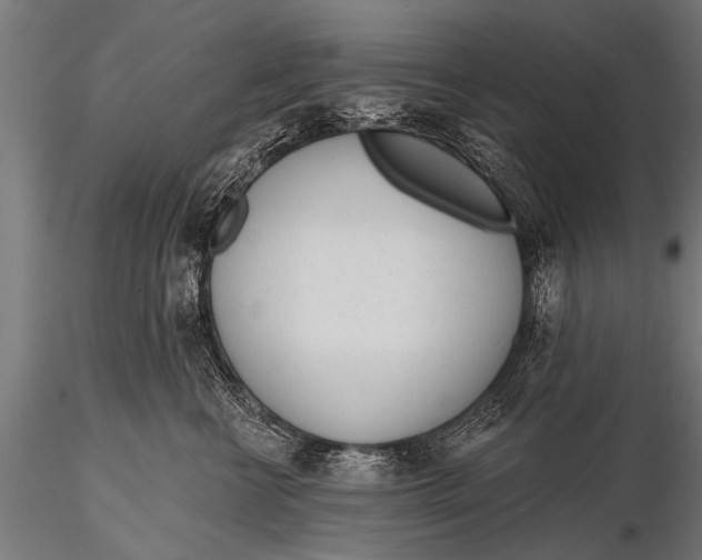 X0000116110570200912141023