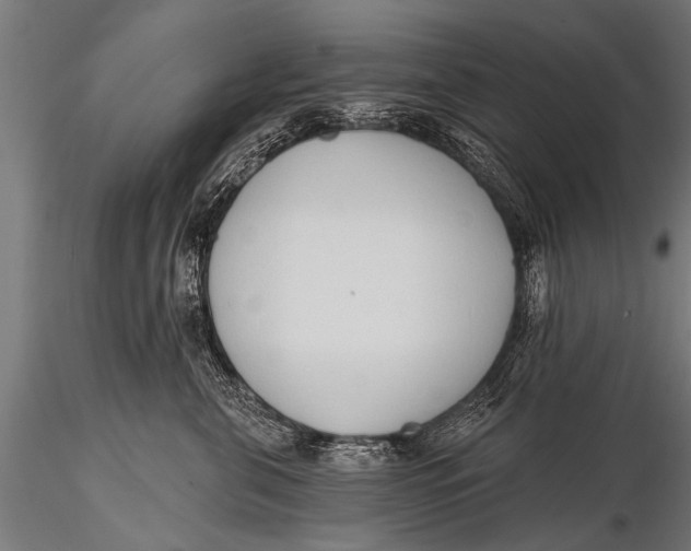 X0000116110571200912141023