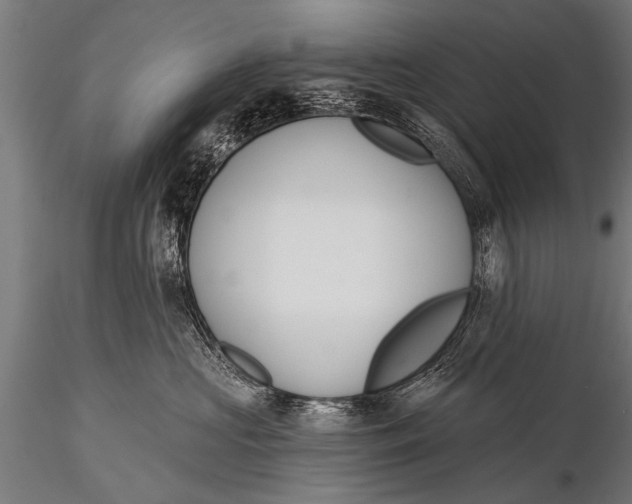 X0000116110573200912141024