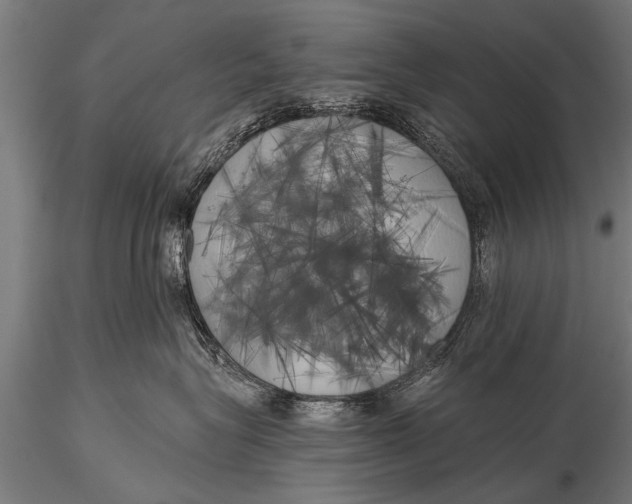 X0000116110575200912141024