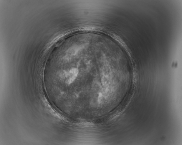 X0000116110577200912141023