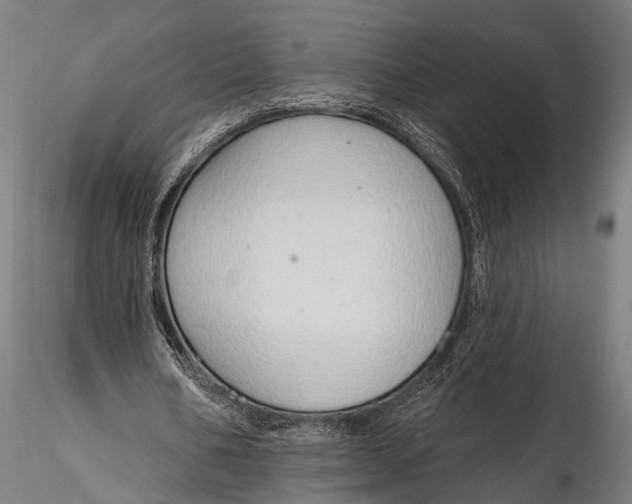 X0000116110578200912141023