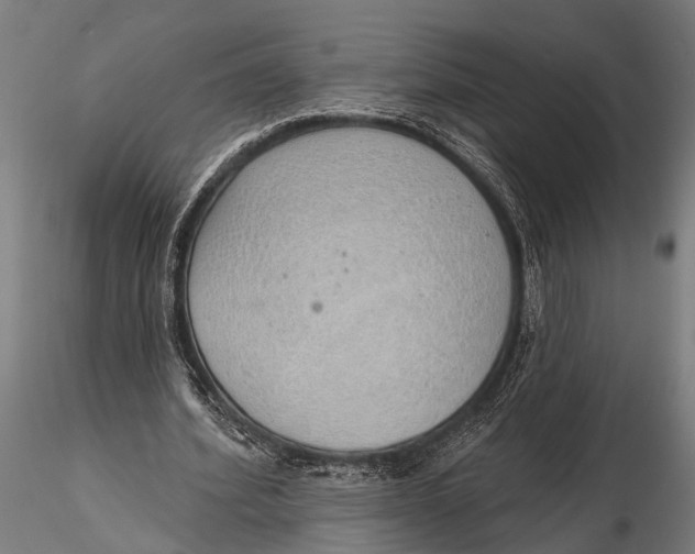 X0000116110580200912141023