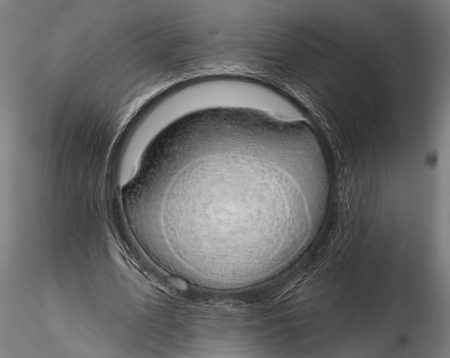 X0000116110583200912141023