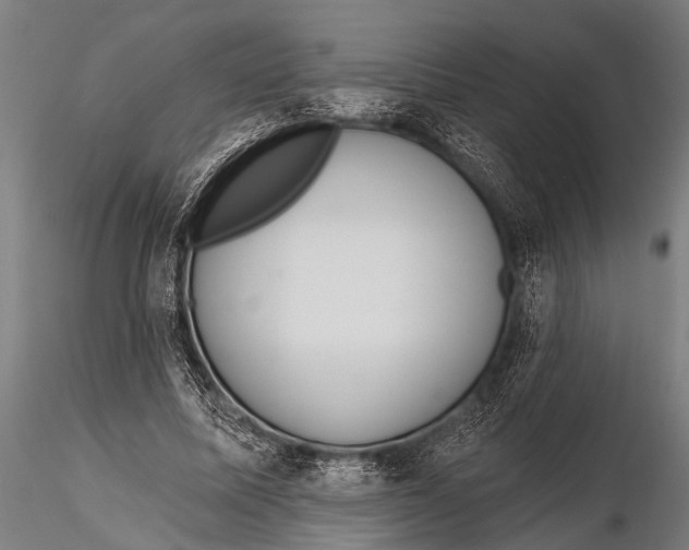 X0000116110587200912141023