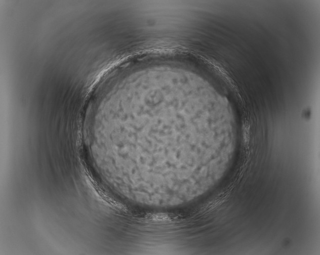 X0000116110588200912141023