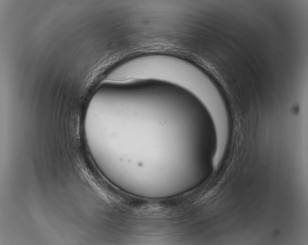 X0000116110589200912141023