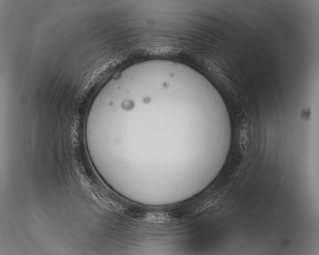 X0000116110591200912141023