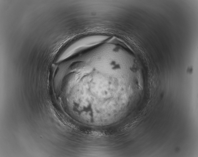 X0000116110592200912141023