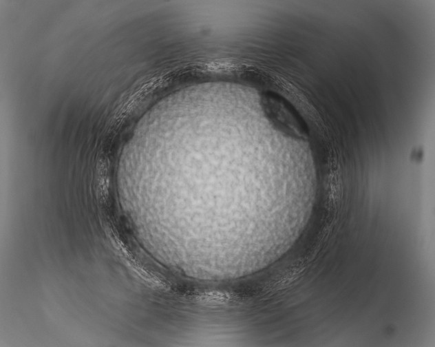 X0000116110593200912141023