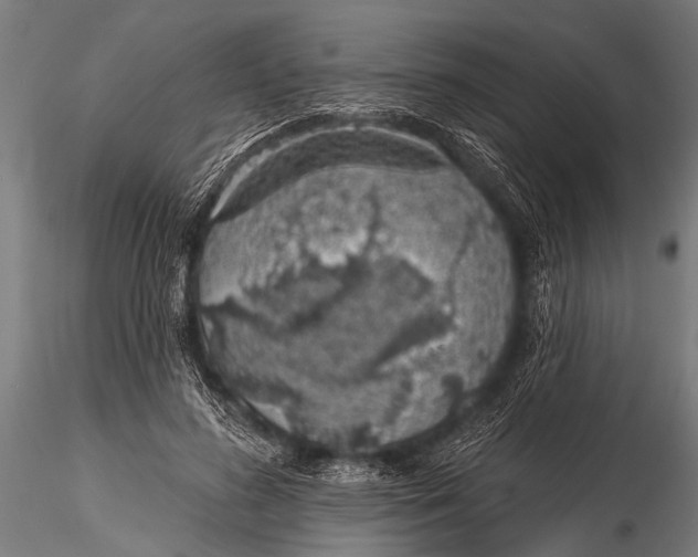 X0000116110596200912141023