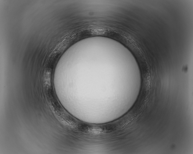 X0000116110598200912141023