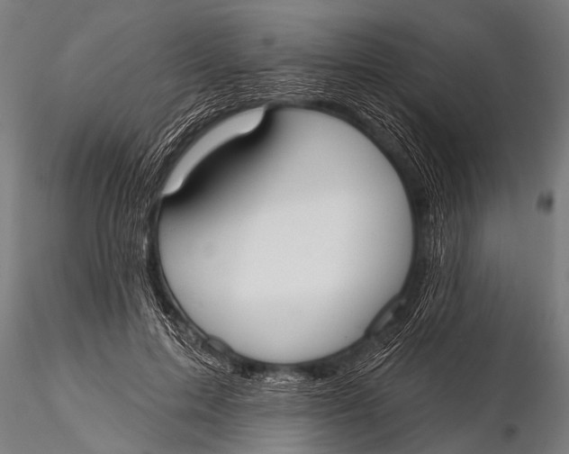 X0000116110599200912141023