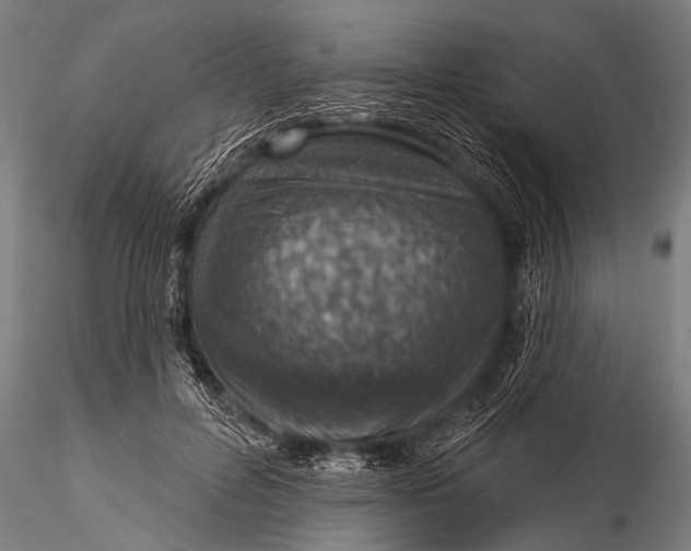 X0000116110600200912141023