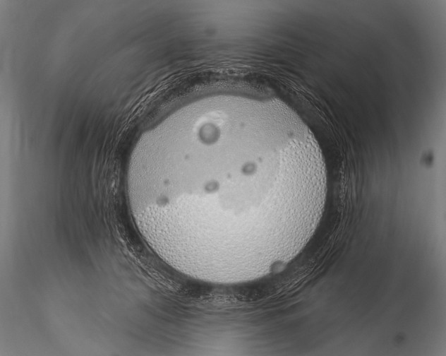 X0000116110608200912141022