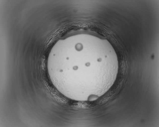 X0000116110612200912141022