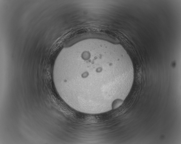 X0000116110616200912141022