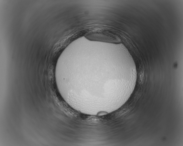 X0000116110620200912141022