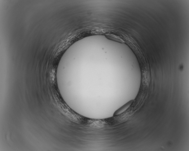 X0000116110621200912141022