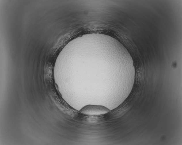 X0000116110623200912141022