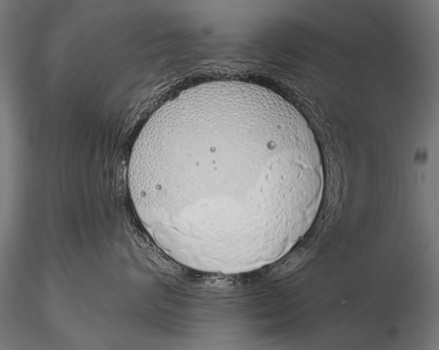 X0000116110624200912141022