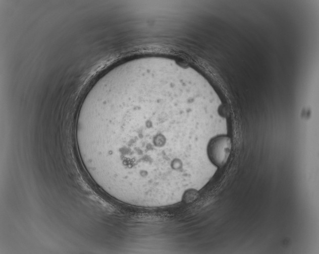 X0000116110625200912141021