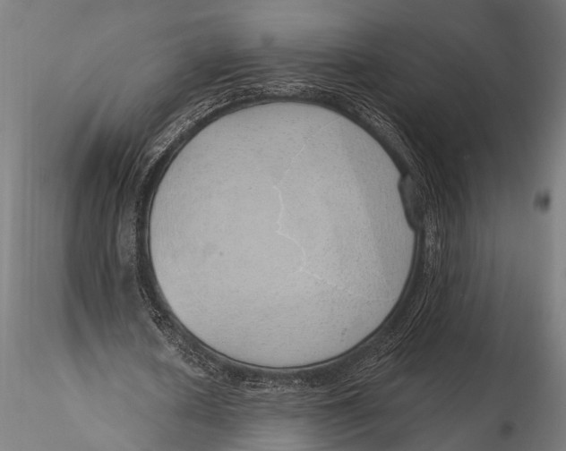 X0000116110626200912141021