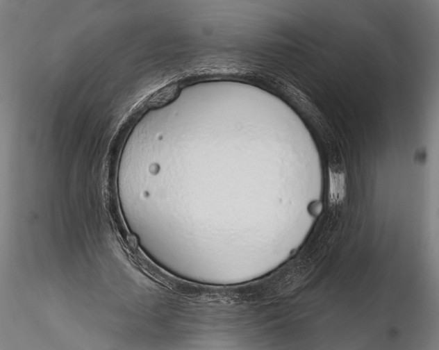 X0000116110627200912141021