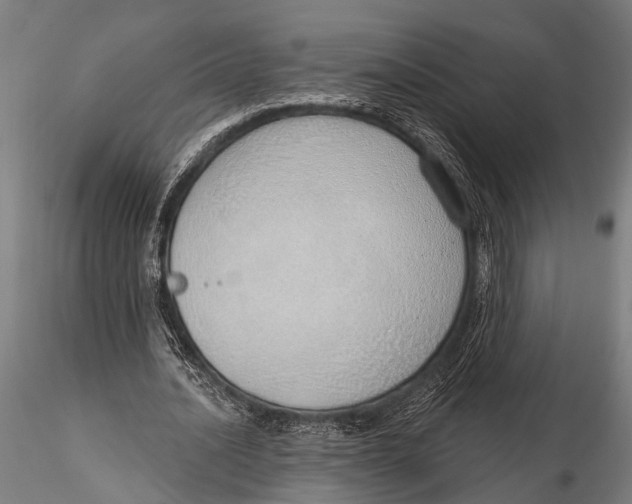 X0000116110628200912141021