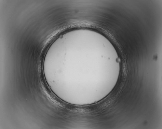 X0000116110629200912141021